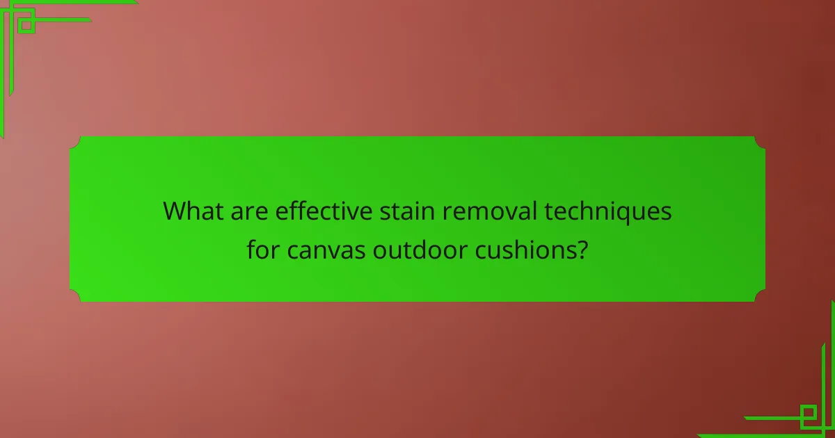 What are effective stain removal techniques for canvas outdoor cushions?